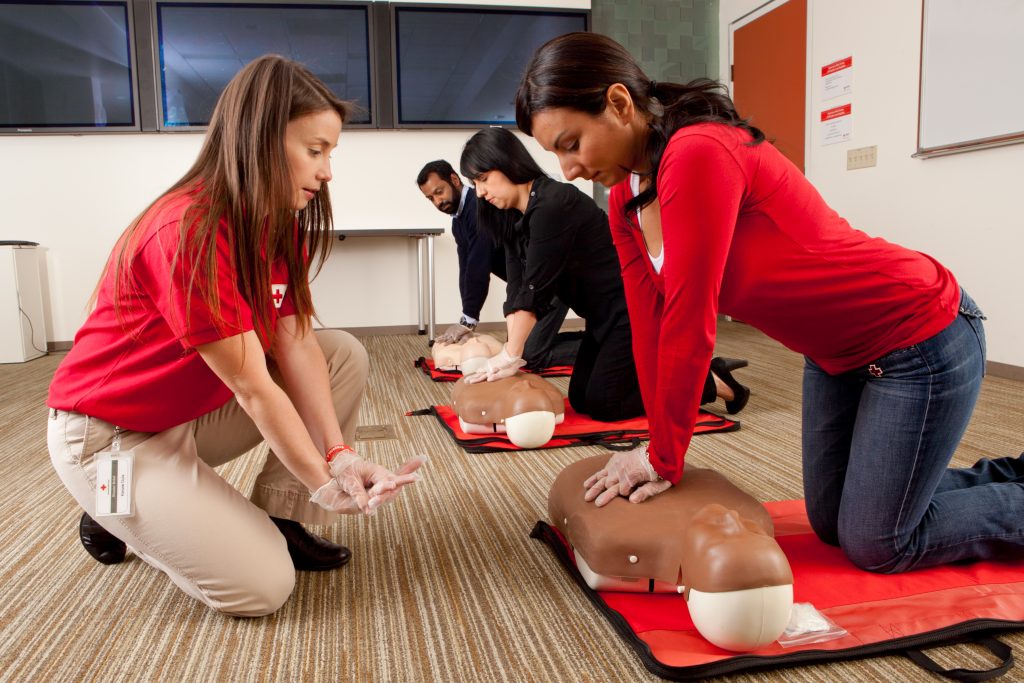 Adult First Aid / CPR / AED