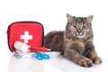Cat and Dog First Aid